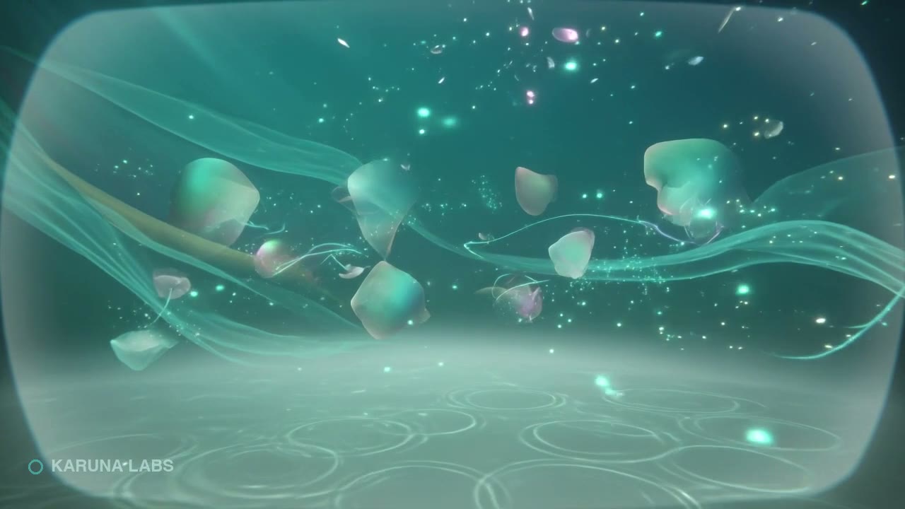 Karuna Labs Brand Film